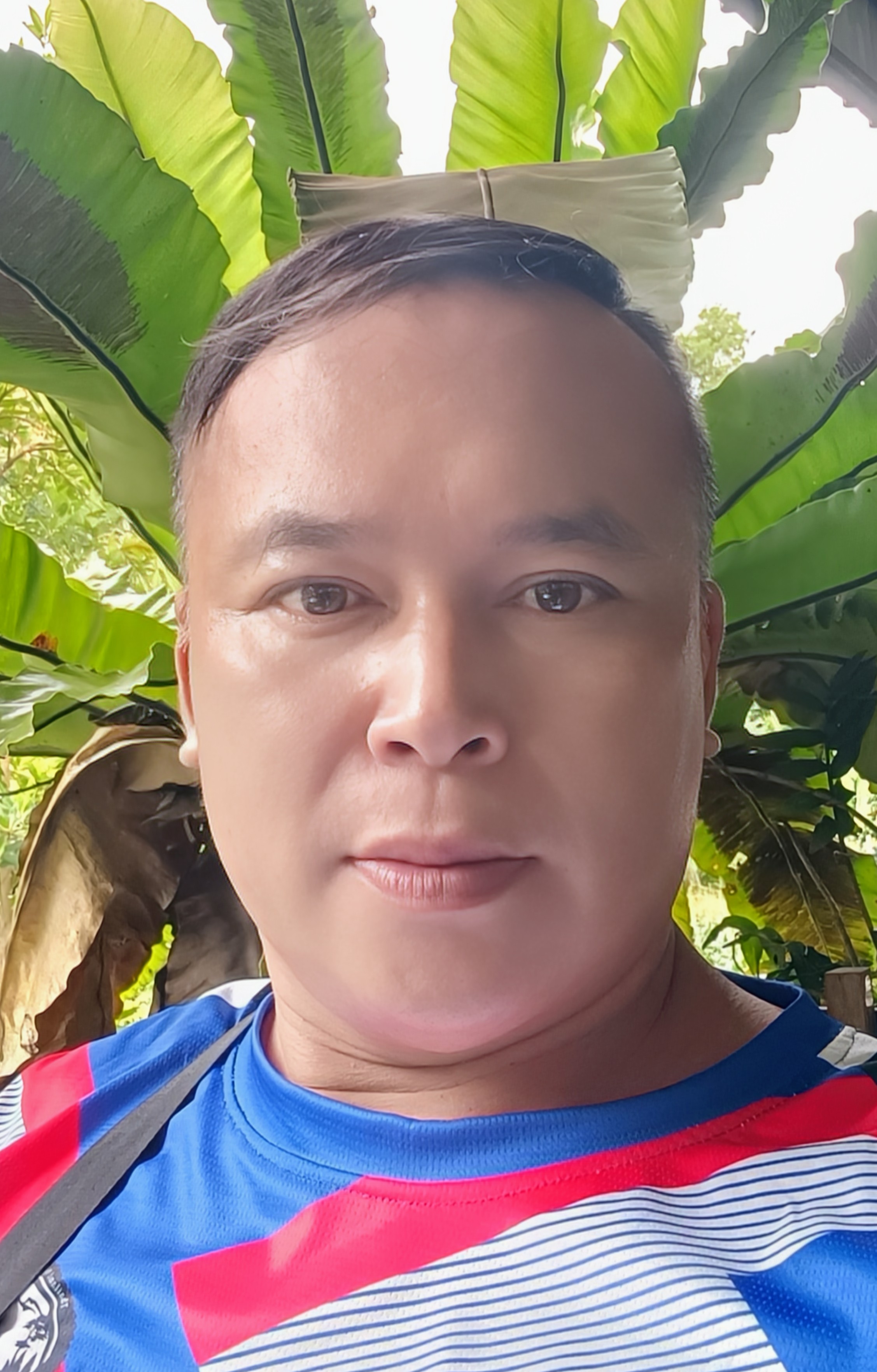 myprofile